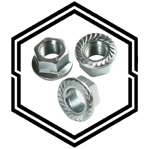 UNS S30403 Serrated Flange Nuts